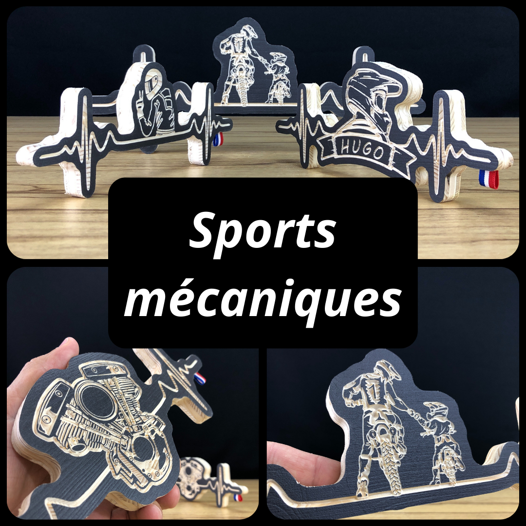 StimPulse - Sports mécaniques