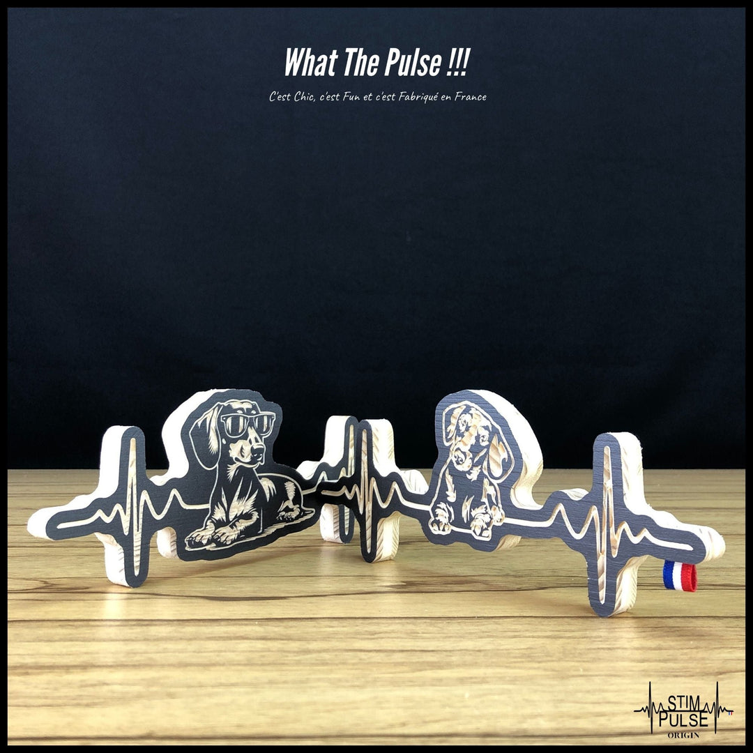 Teckel avec des lunettes de soleil - StimPulse Origin