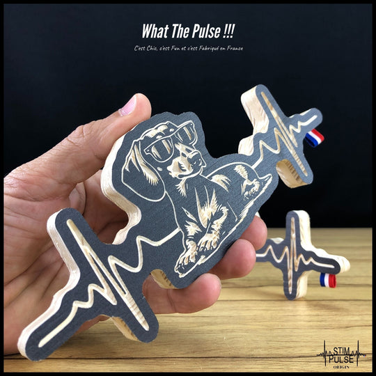 Teckel avec des lunettes de soleil - StimPulse Origin