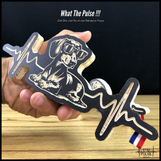 Teckel avec des lunettes de soleil - StimPulse Origin