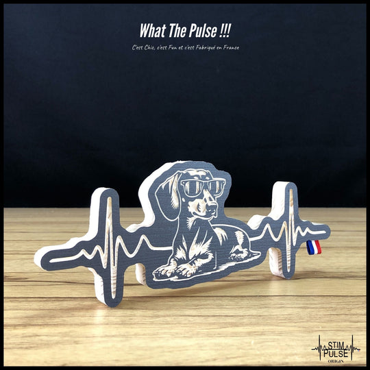 Teckel avec des lunettes de soleil - StimPulse Origin