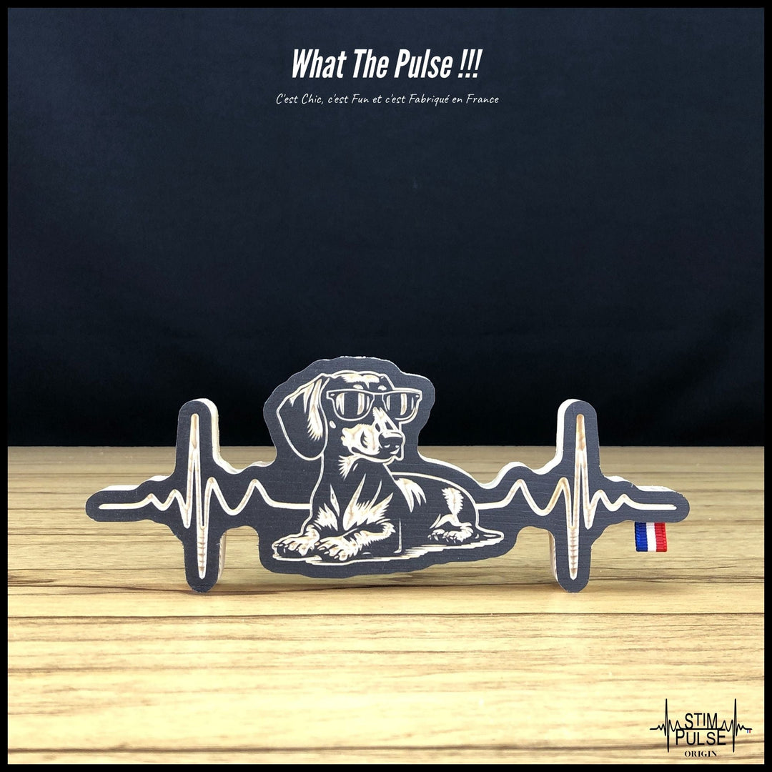 Teckel avec des lunettes de soleil - StimPulse Origin