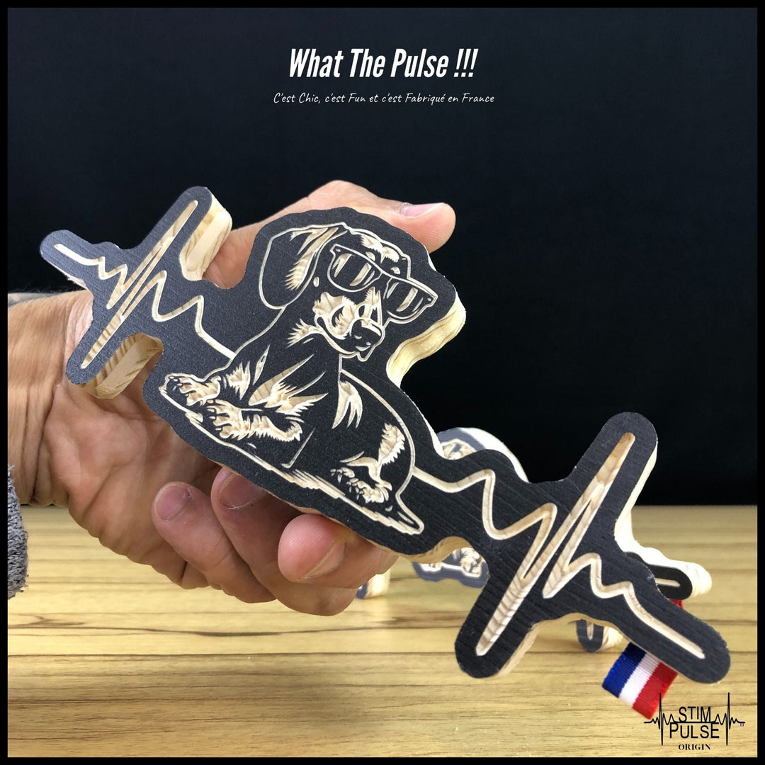 Teckel avec des lunettes de soleil - StimPulse Origin