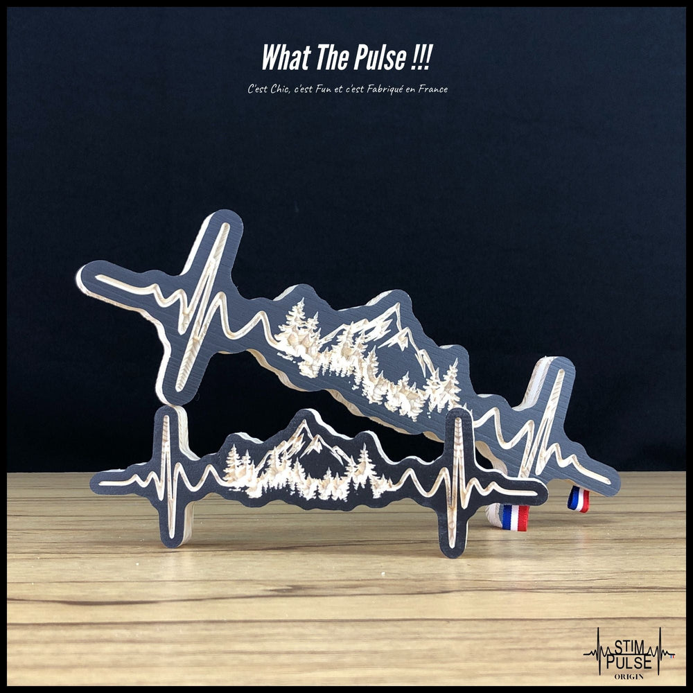 Paysage Montagnes Foret de Sapins - StimPulse Origin