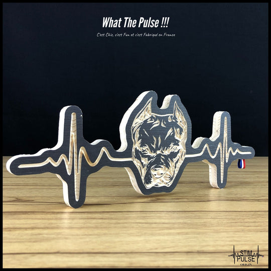 American Staff - StimPulse Origin