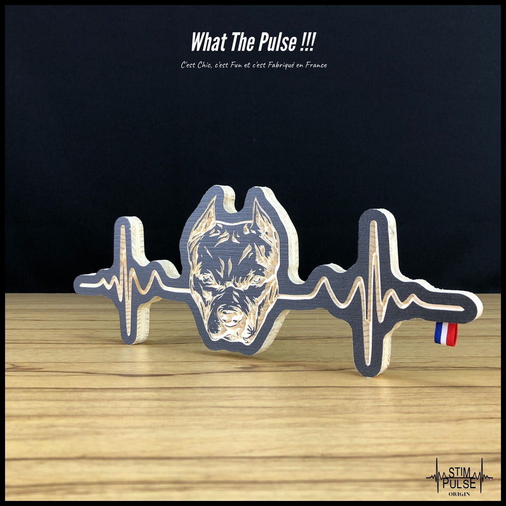 American Staff - StimPulse Origin