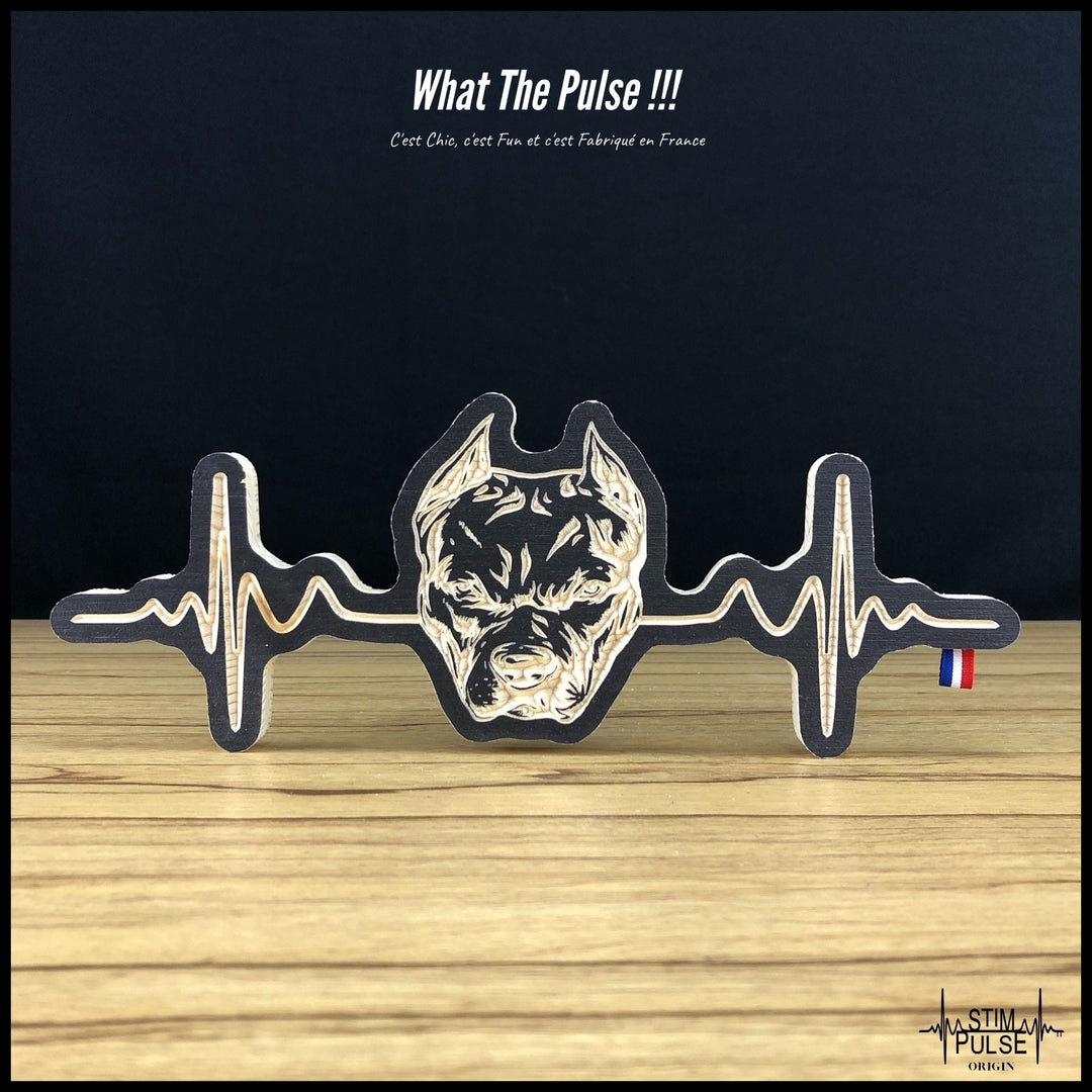 American Staff - StimPulse Origin