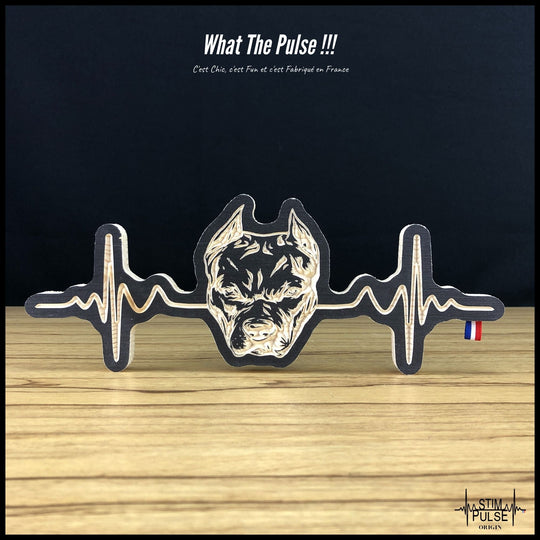 American Staff - StimPulse Origin