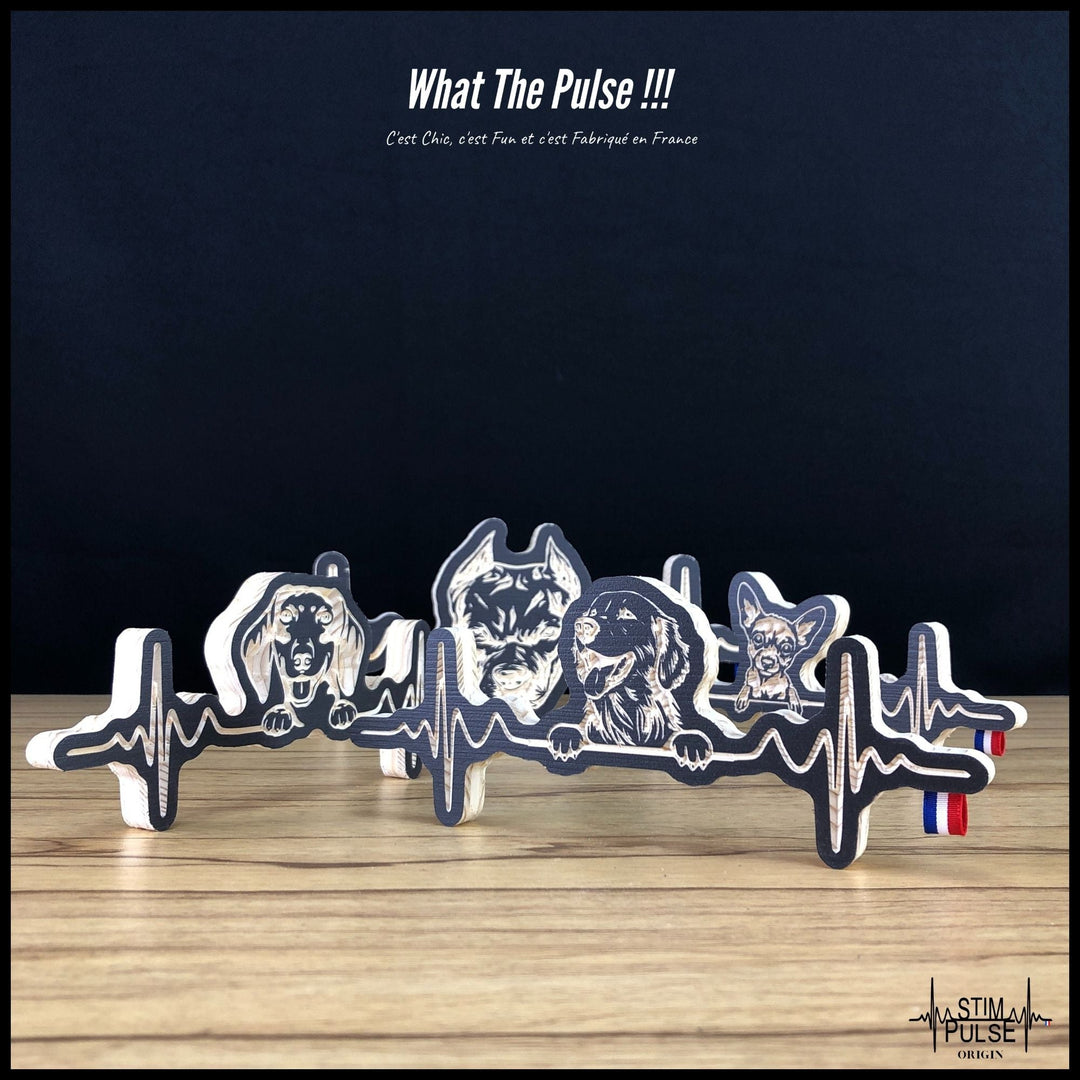 American Staff - StimPulse Origin