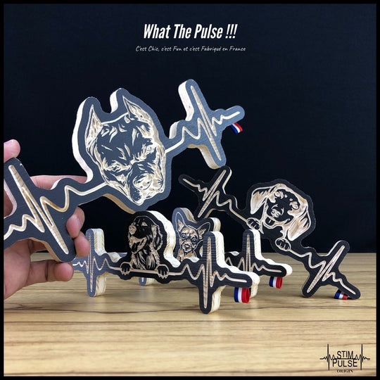 American Staff - StimPulse Origin