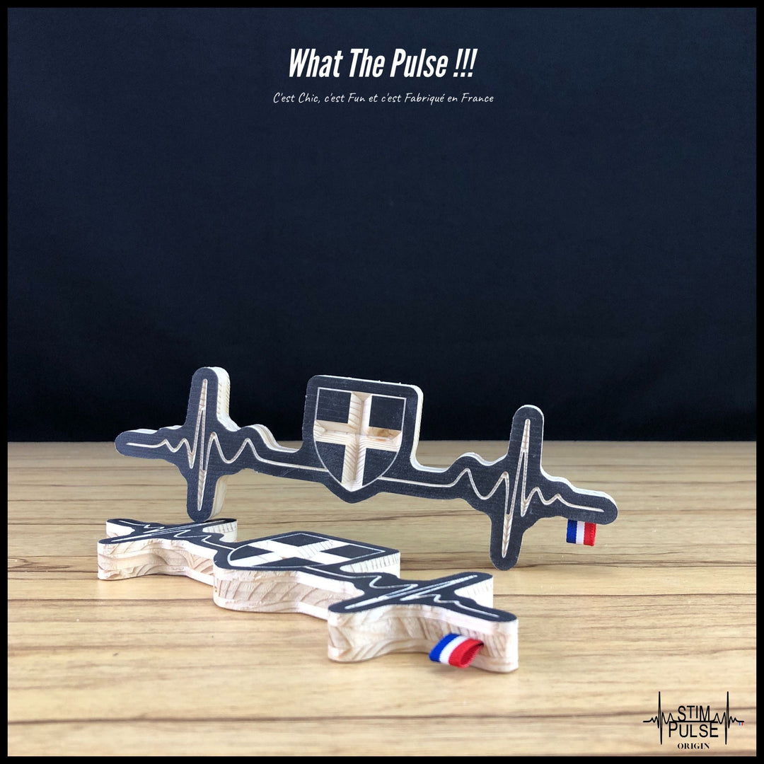 Blason savoyard Savoie, Haute Savoie - StimPulse Origin